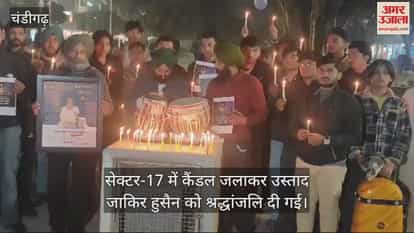 VIDEO : उस्ताद जाकिर हुसैन को श्रद्धांजलि, सेक्टर-17 में जलाए कैंडल VIDEO : उस्ताद जाकिर हुसैन को श्रद्धांजलि, सेक्टर-17 में जलाए कैंडल