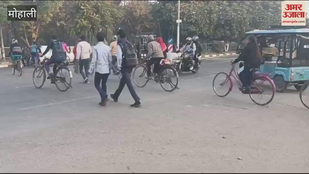 VIDEO : जान हथेली पर रखकर सड़क पार करते हैं मोहाली के लोग