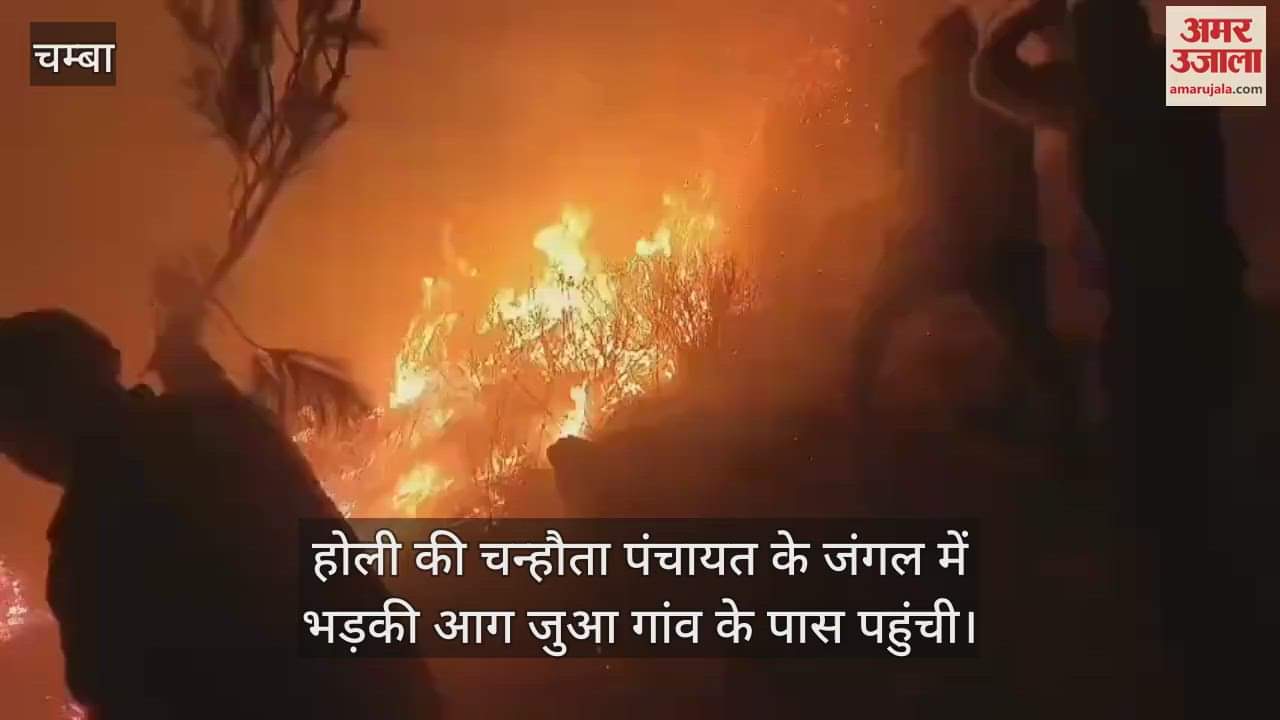 VIDEO : The fire that broke out in the forest of Holi's Chanhota Panchayat reached near Jua village
