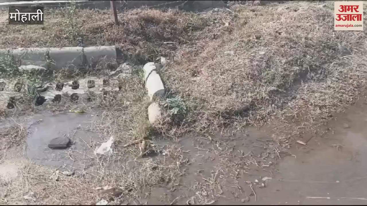 VIDEO : Water pipe broken on Airport Road in Mohali, water flowing waste