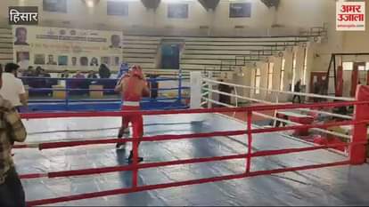 VIDEO : Hisar player Udayveer reached the final of the State Boxing Championship on the strength of his punches
