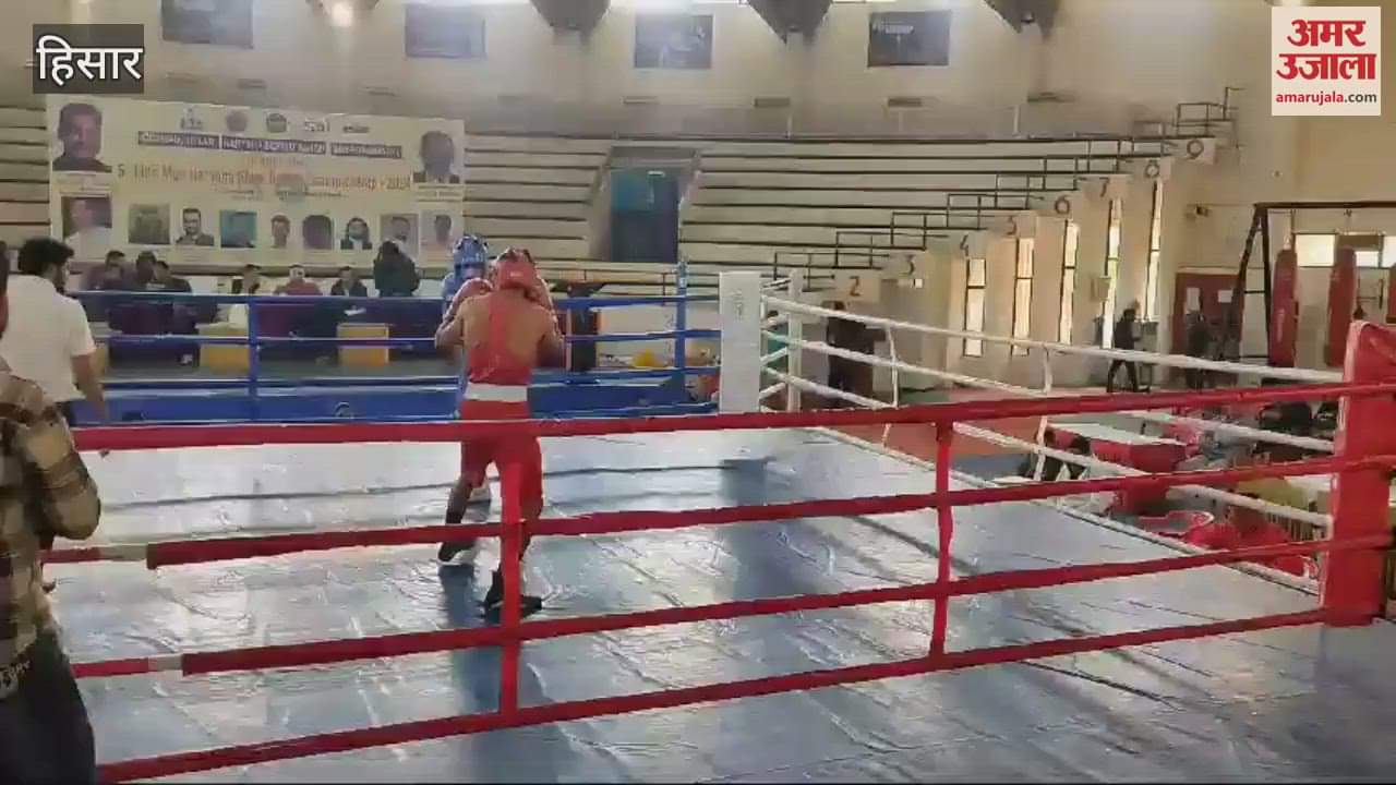 VIDEO : Hisar player Udayveer reached the final of the State Boxing Championship on the strength of his punches