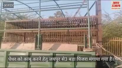 Alwar News: Forest department has failed to catch the panther in Rajrishi College for 15 days,