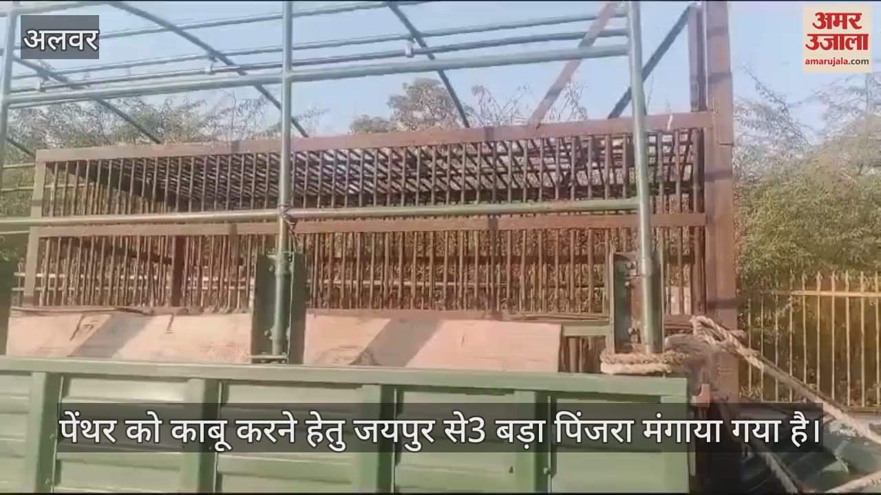 Alwar News: Forest department has failed to catch the panther in Rajrishi College for 15 days,