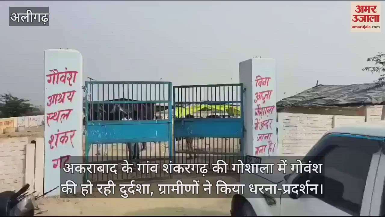 VIDEO : अकराबाद के गांव शंकरगढ़ की गोशाला में गोवंश की हो रही दुर्दशा, ग्रामीणों ने किया धरना-प्रदर्शन
