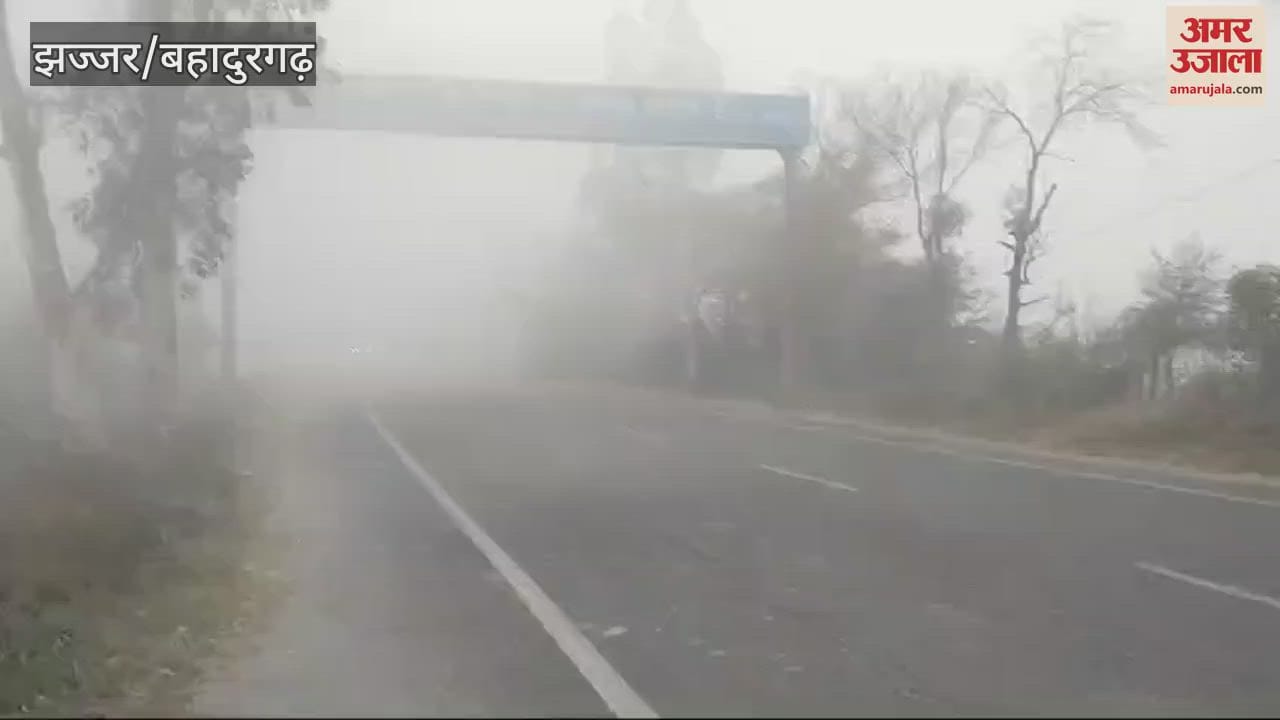 VIDEO : Jhajjar witnessed heavy fog for the second consecutive day, causing problems for drivers
