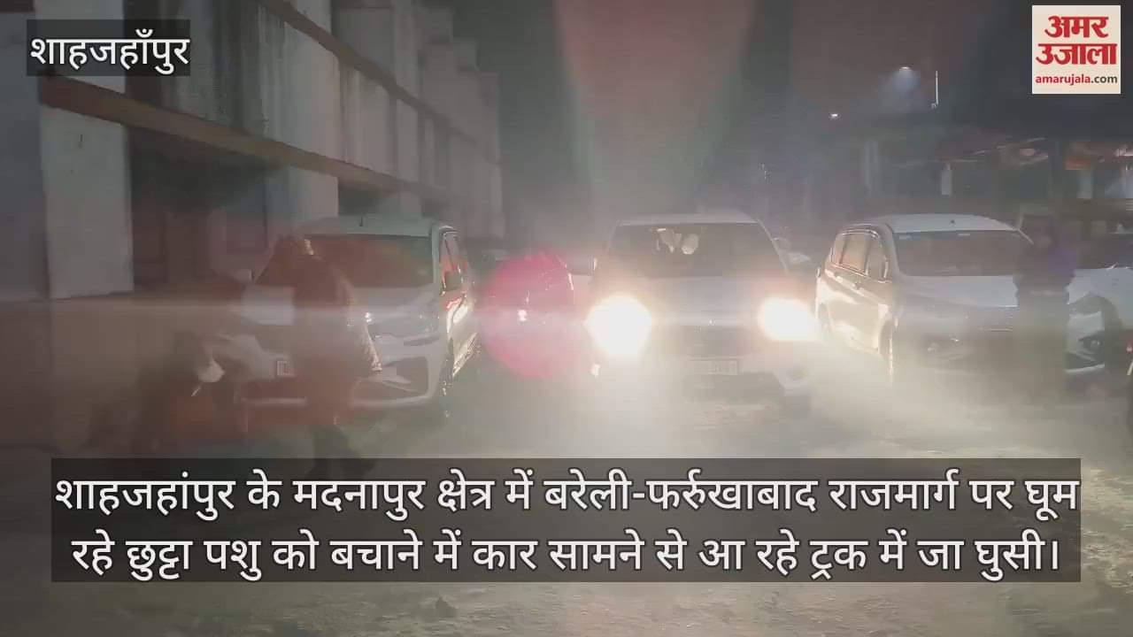 VIDEO : शाहजहांपुर में हाईवे पर छुट्टा पशु को बचाने में ट्रक में घुसी कार, दंपती-बेटी समेत पांच की मौत