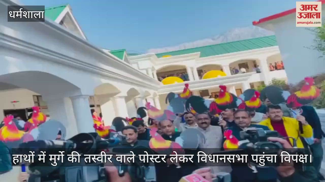 VIDEO : The opposition reached the assembly with posters with pictures of chickens in their hands