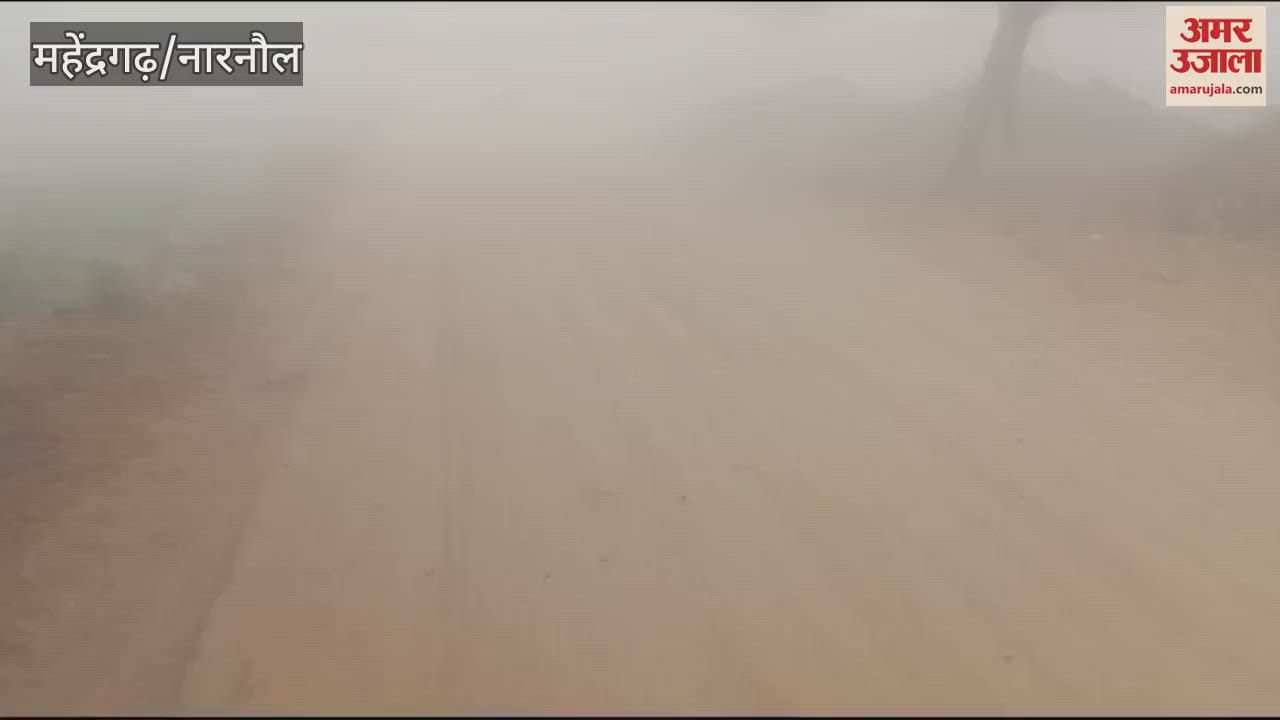 VIDEO : Heavy Fog in Narnaul