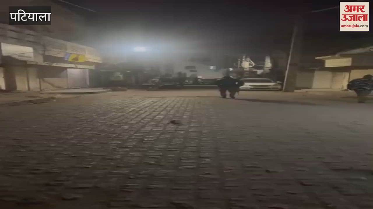 VIDEO : Stone pelting in ward number 40 of Patiala