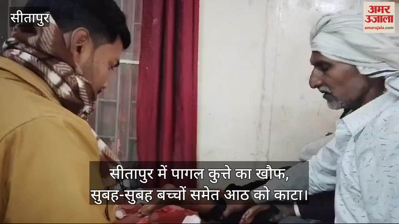 VIDEO : सीतापुर में पागल कुत्ते का खौफ, सुबह-सुबह बच्चों समेत आठ को काटा