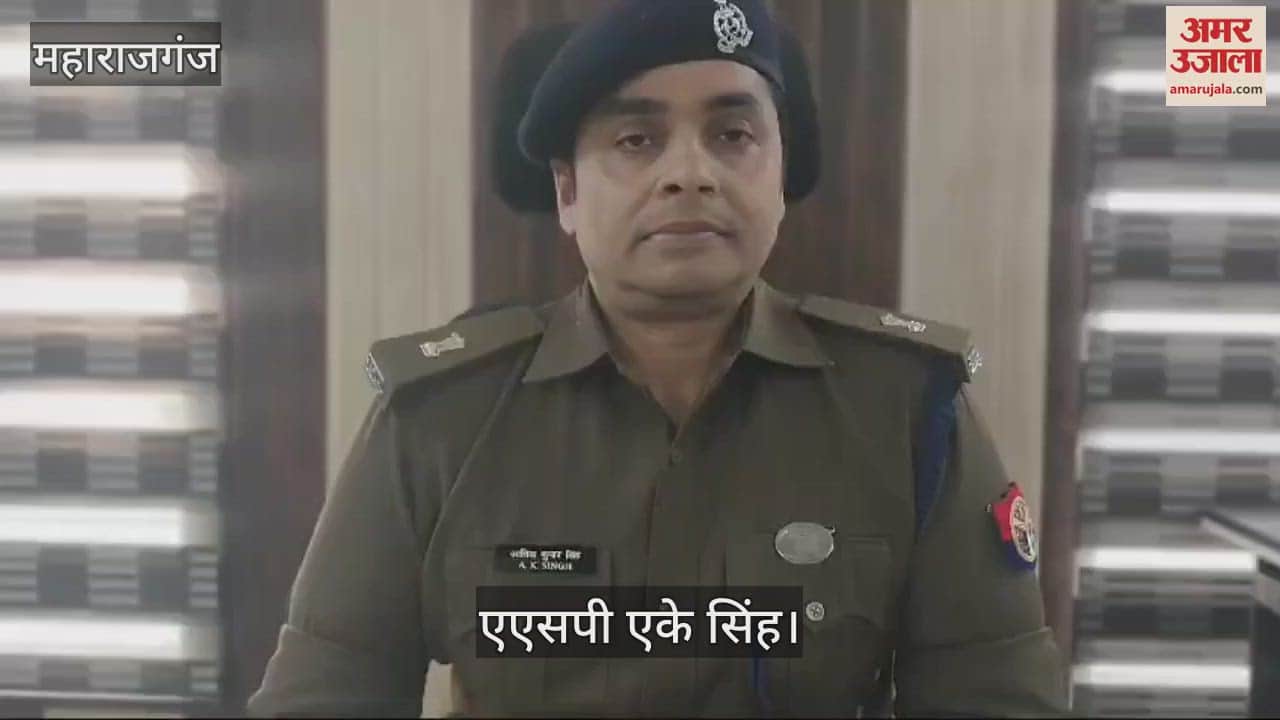 VIDEO : Young son injured his mother by throwing stones, arrested