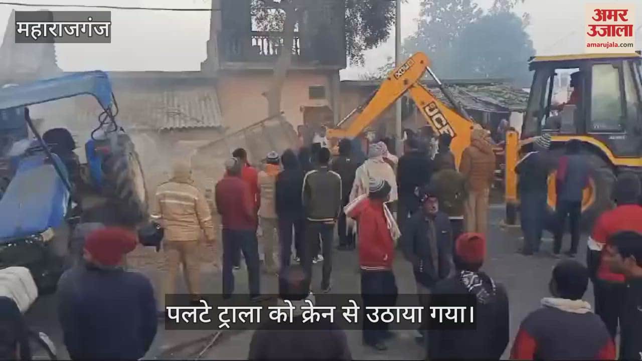 VIDEO : Trailer overturns, two buffaloes including an elderly person die