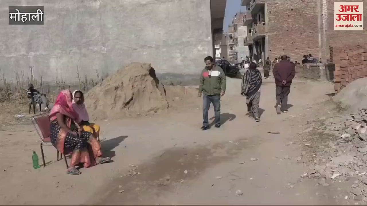 VIDEO : Voting continues for one seat in Nayagaon