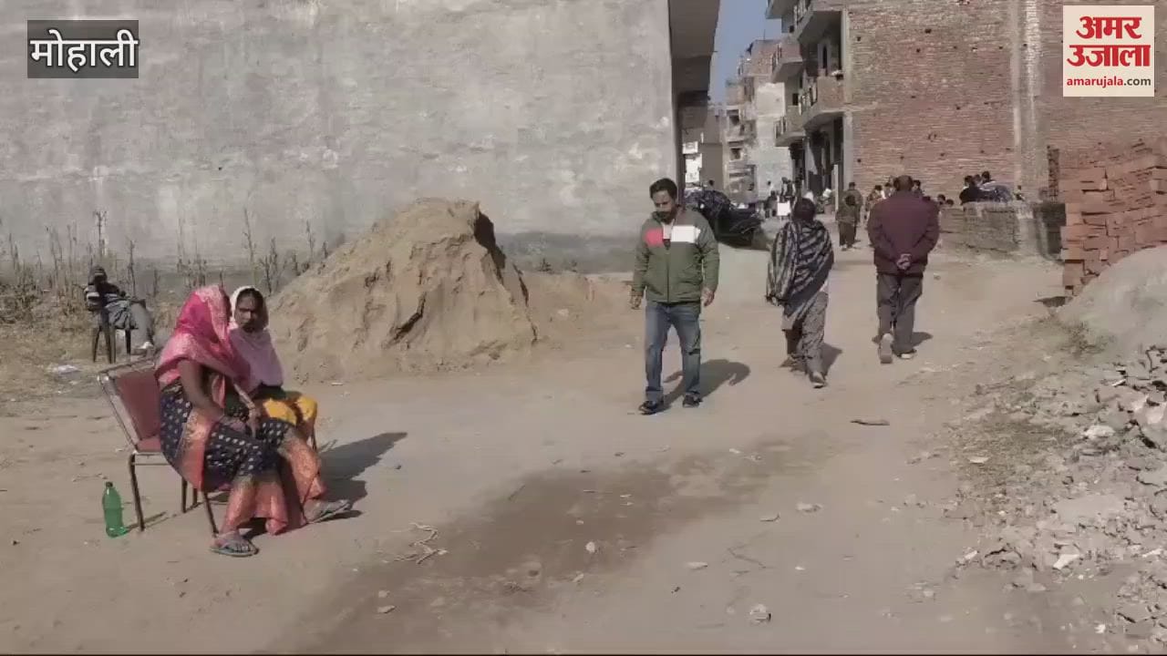 VIDEO : Voting continues for one seat in Nayagaon
