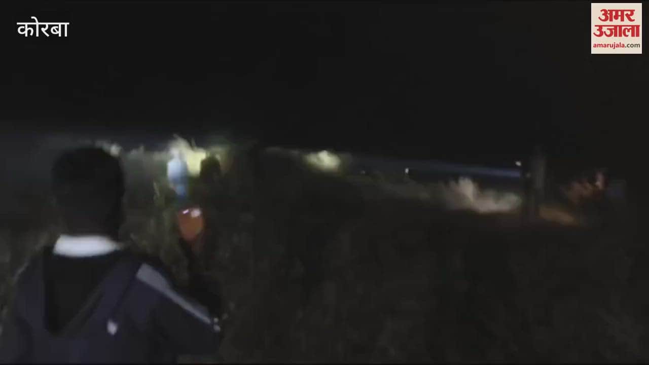 VIDEO : chaos in Korba when a herd of elephants entered the paddy procurement center