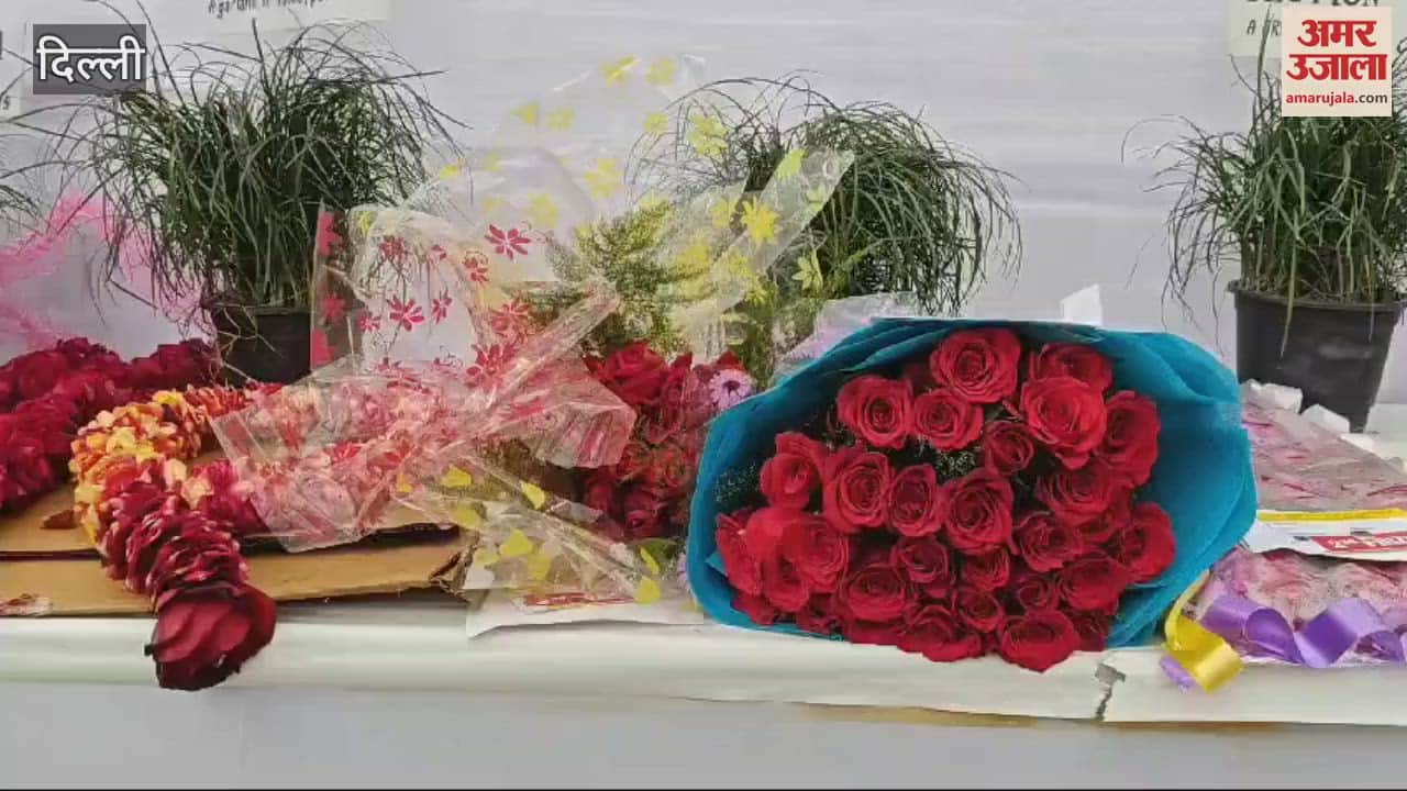 VIDEO : All India Winter Rose Show organized in New Delhi