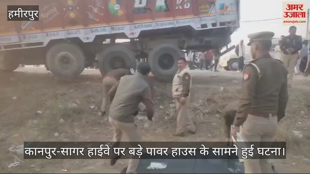 VIDEO : Uncontrollable truck crushes woman, death causes chaos