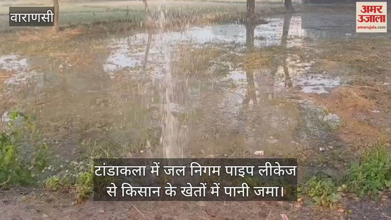 VIDEO : Video of negligence in Chandauli water gets accumulated in farmer's field due to leakage of water corporation pipe