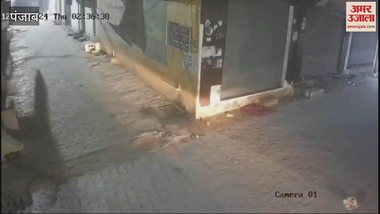 VIDEO : Theft In Shops In Kapurthala