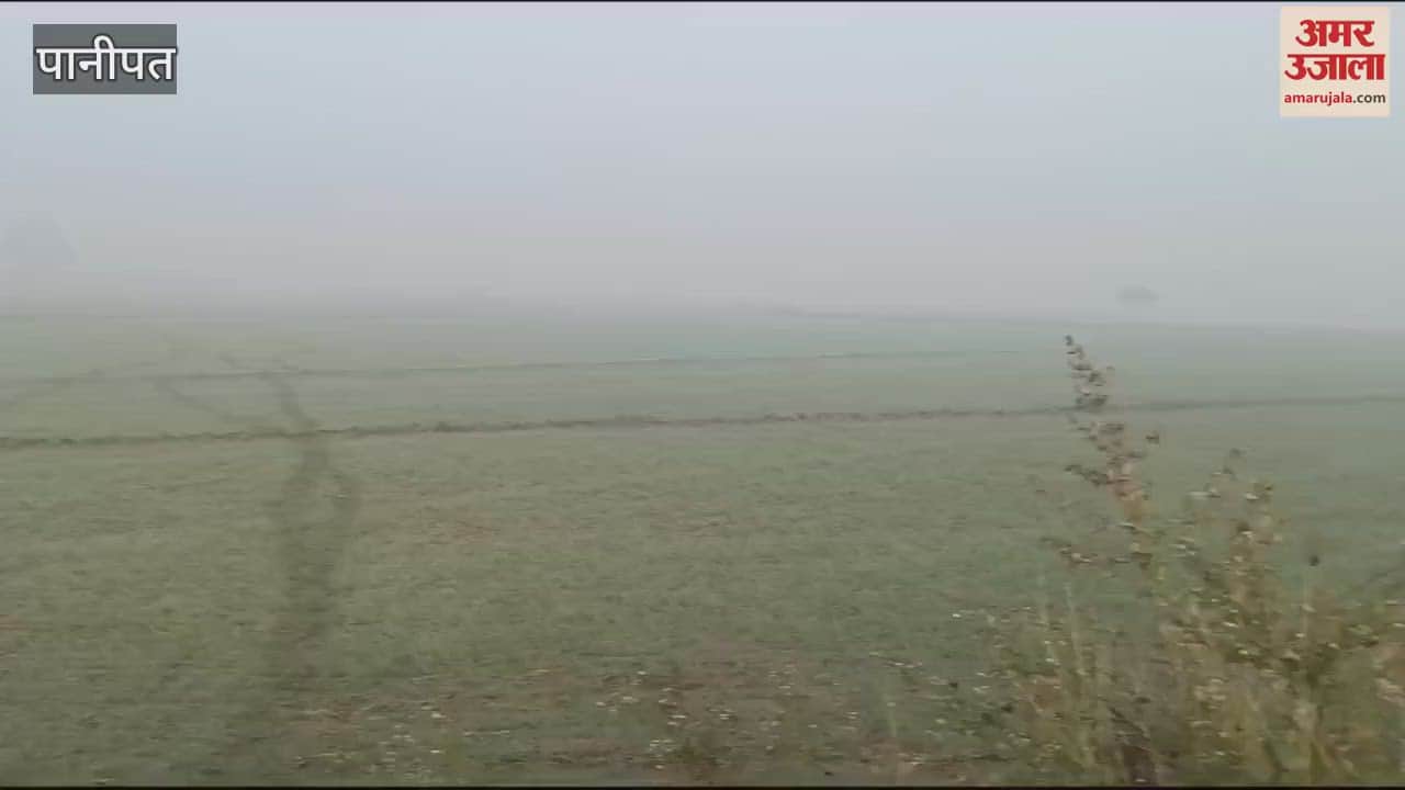 VIDEO : cold has started increasing during day as well as at night In Panipat