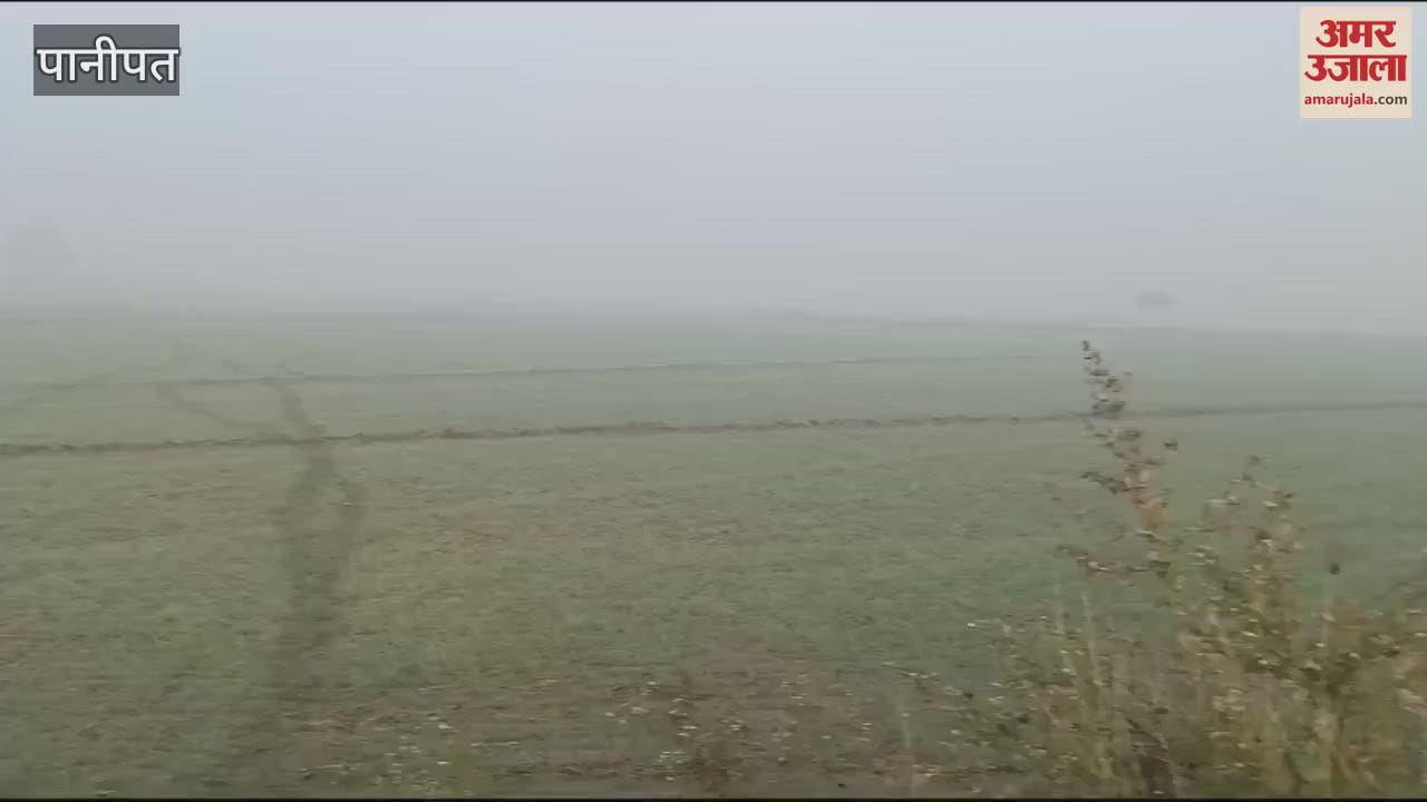 VIDEO : cold has started increasing during day as well as at night In Panipat