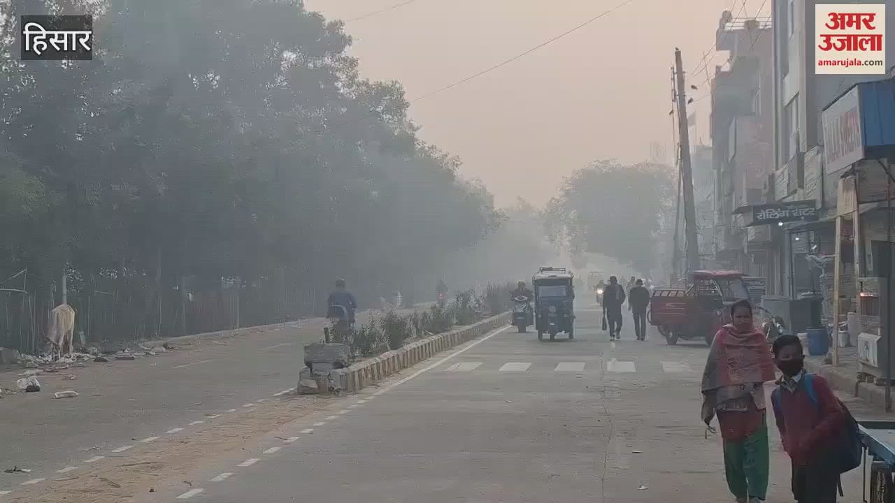 VIDEO : Fog in Hisar