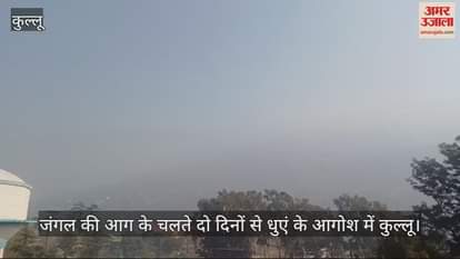 VIDEO : Kullu is engulfed in smoke for two days due to forest fire