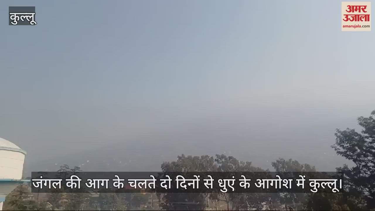 VIDEO : Kullu is engulfed in smoke for two days due to forest fire