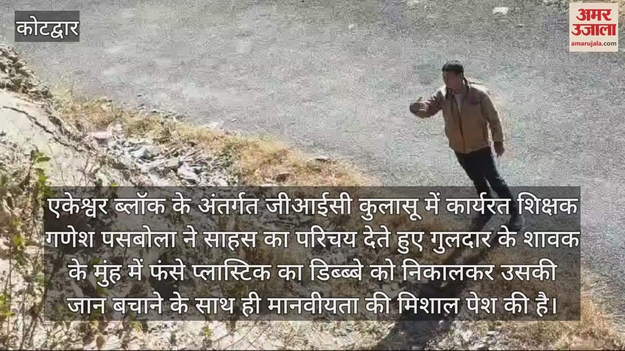 VIDEO : Teacher showed courage and saved the life of leopard cub Kotdwar Uttarakhand news