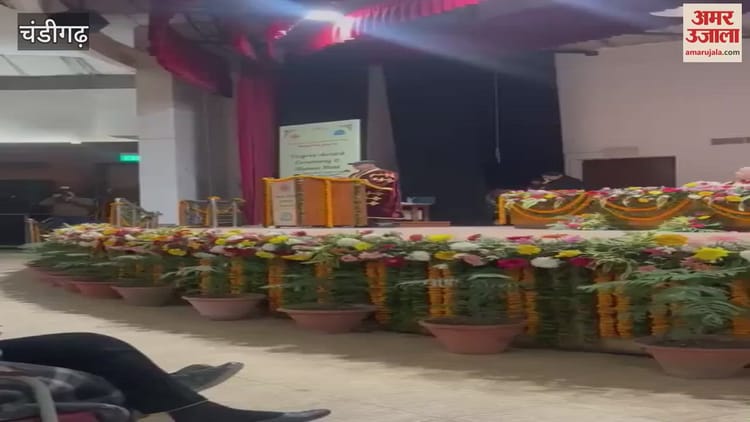Video : Uiet Convocation Organized In Law Auditorium Of Punjab University – Amar Ujala Hindi News Live