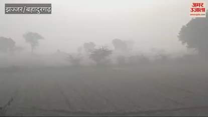 VIDEO : Fog deepened in Jhajjar in the morning, visibility was up to 20 meters