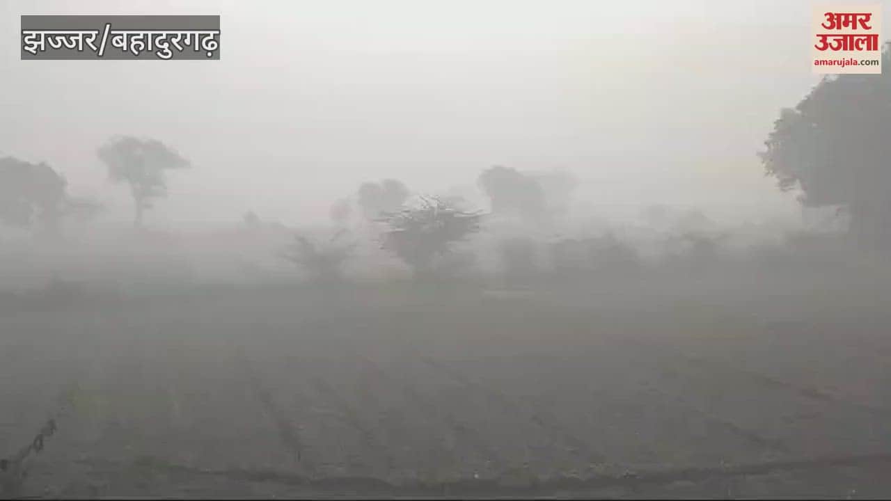 VIDEO : Fog deepened in Jhajjar in the morning, visibility was up to 20 meters