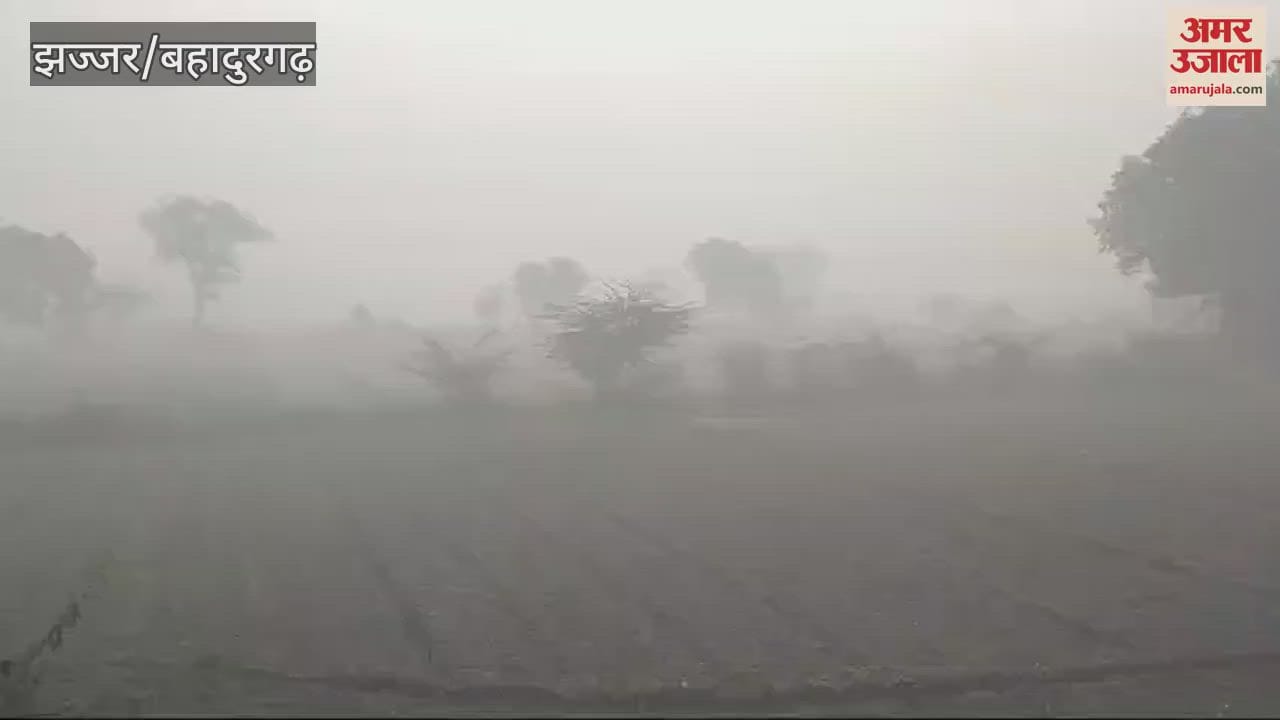 VIDEO : Fog deepened in Jhajjar in the morning, visibility was up to 20 meters