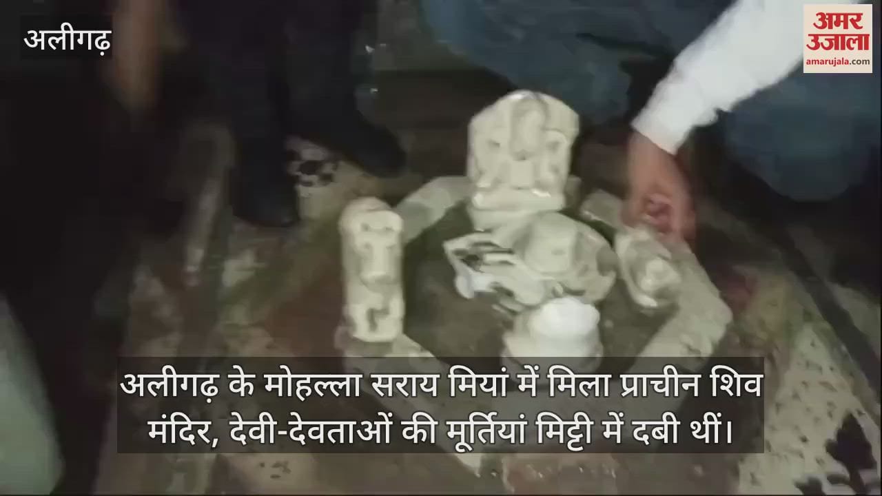 VIDEO : अलीगढ़ के मोहल्ला सराय मियां में मिला प्राचीन शिव मंदिर, देवी-देवताओं की मूर्तियां मिट्टी में दबी थीं