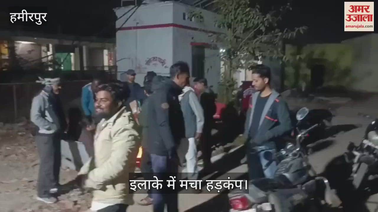 VIDEO : Dog bites and injures forty people in Hamirpur