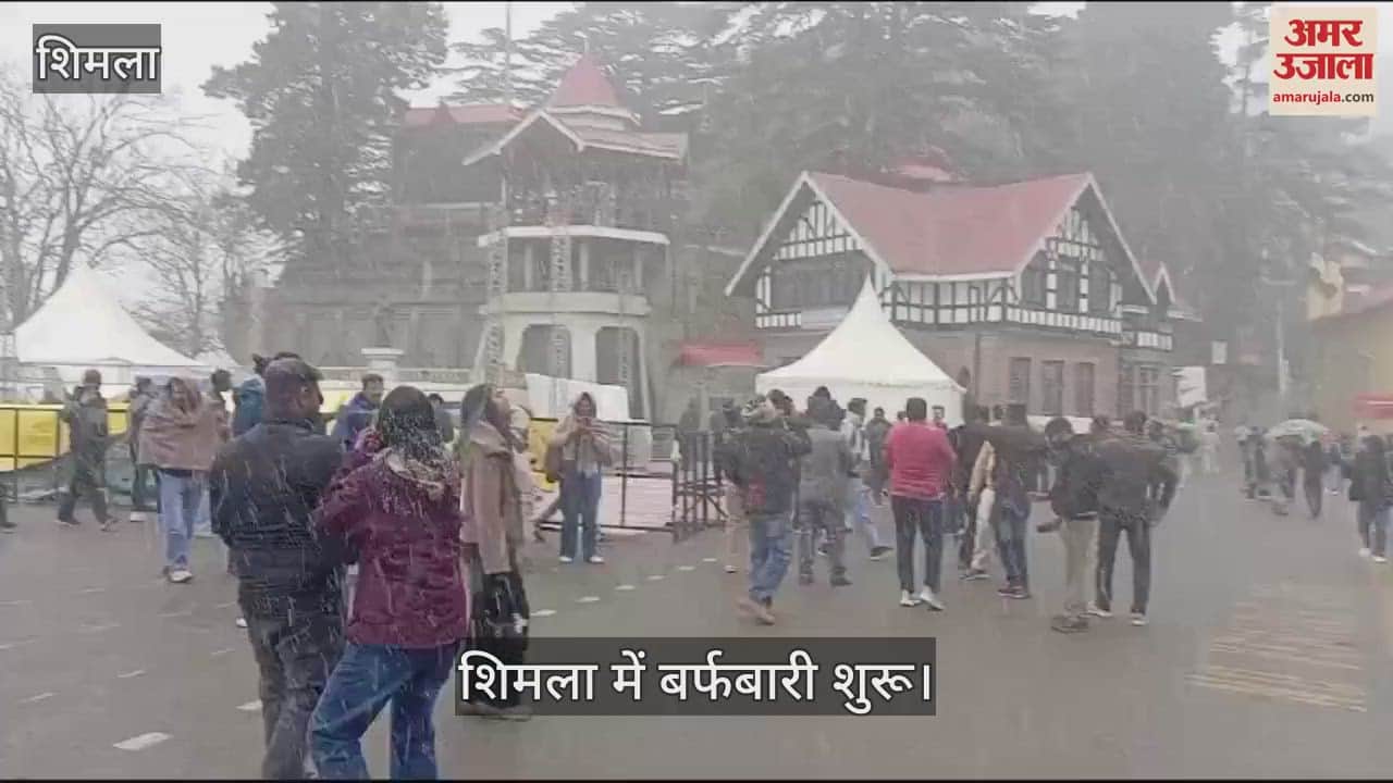 VIDEO : Snowfall begins in the Shimla wave of happiness among tourists