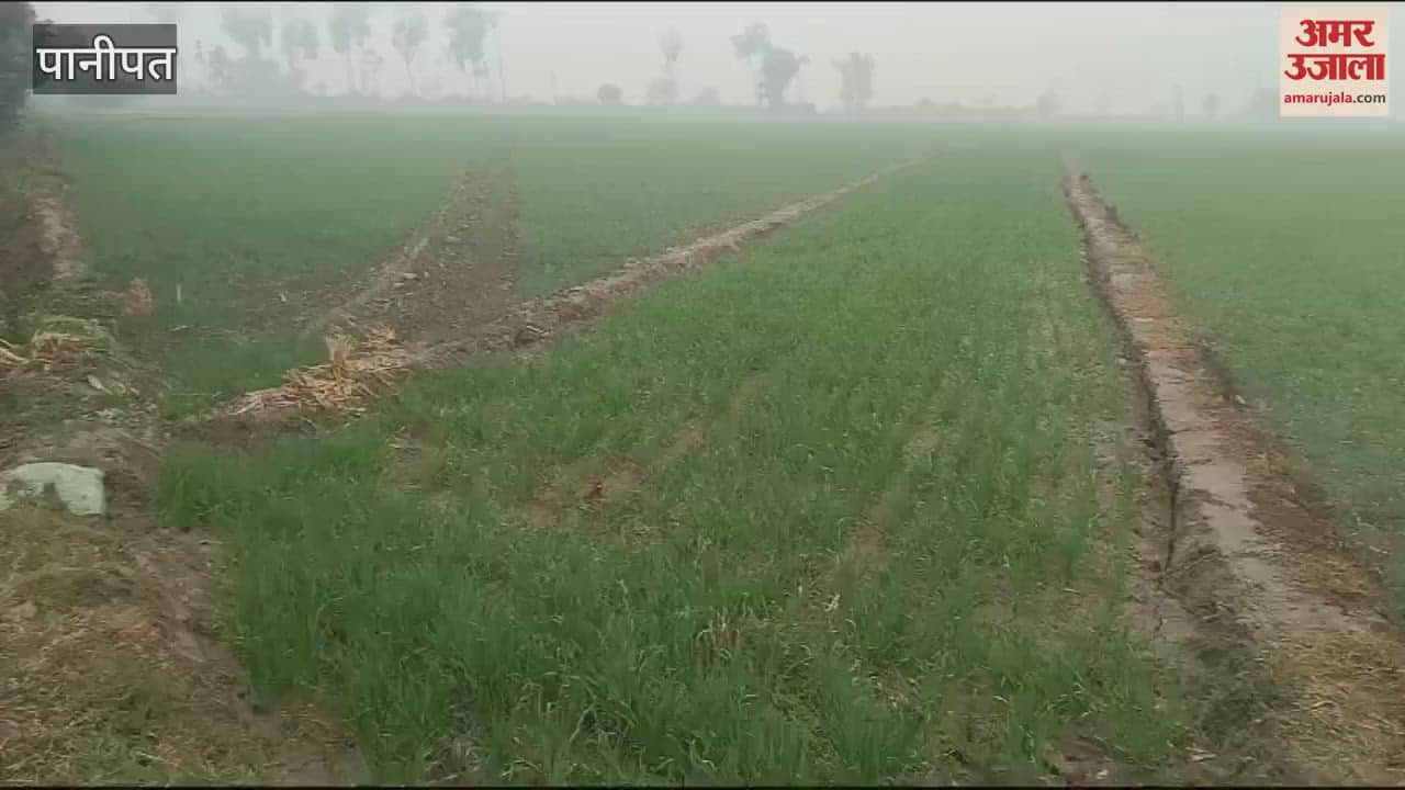 VIDEO : Rain in Panipat