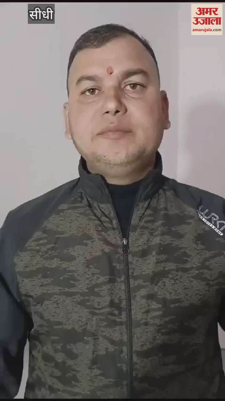 A large number of dead cattle were seen in Panna Pahari Falls