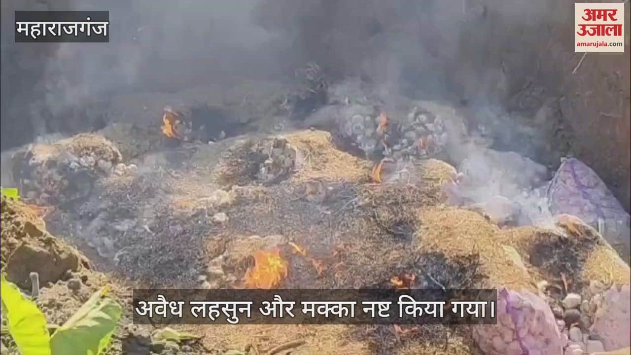 VIDEO : SSB and police seized illegal corn and garlic