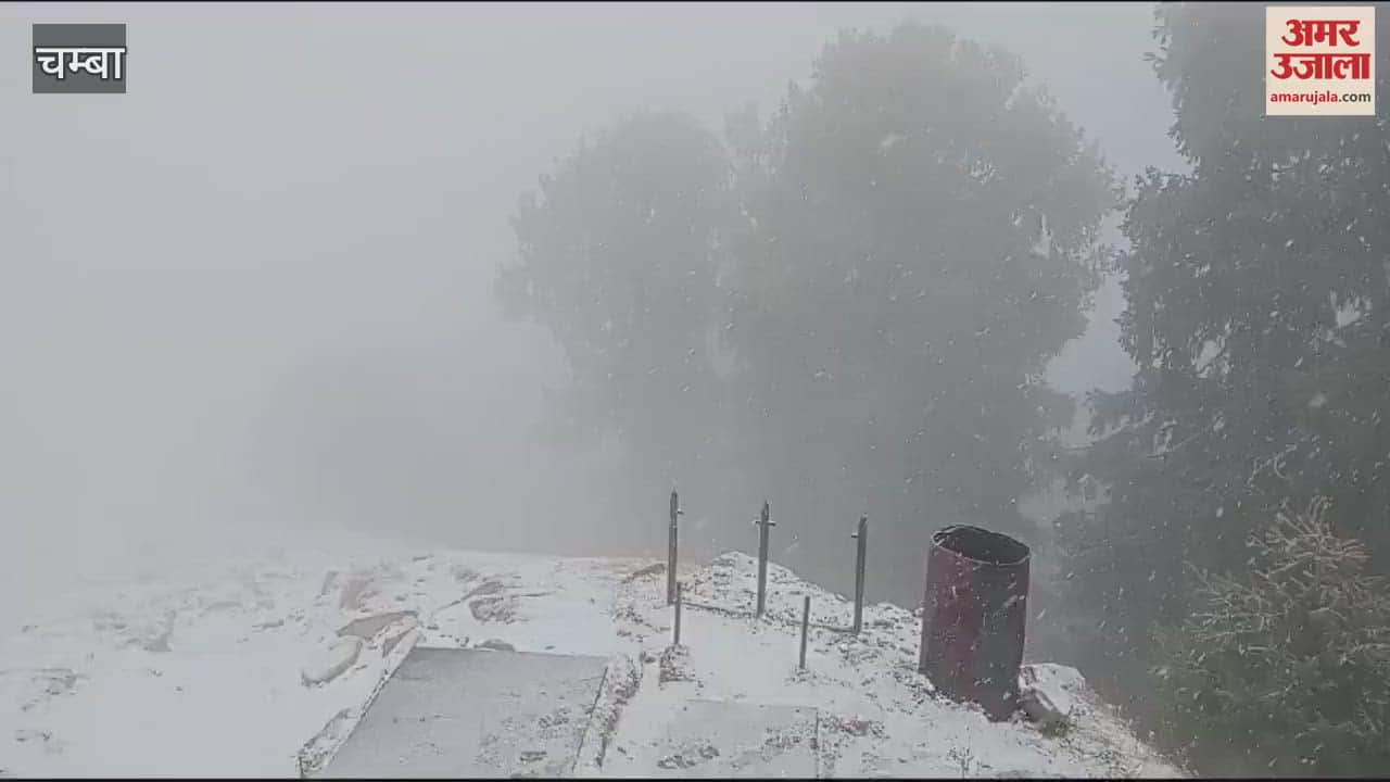 VIDEO : Snowfall in Dainkund of tourist place Dalhousie