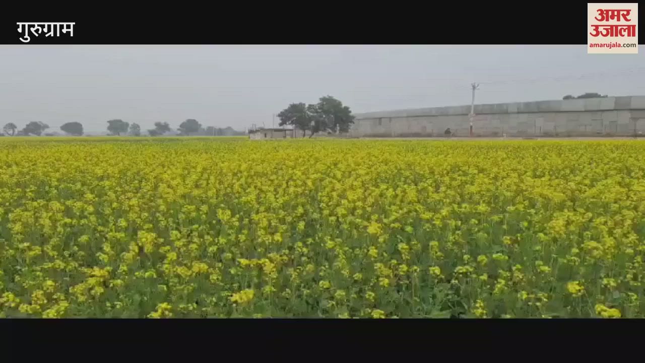 VIDEO : Crops will benefit from rain