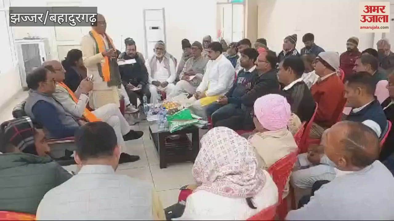 VIDEO : कांग्रेस अब तक अपना संगठन तक खड़ा नहीं कर पाई- धूपड़