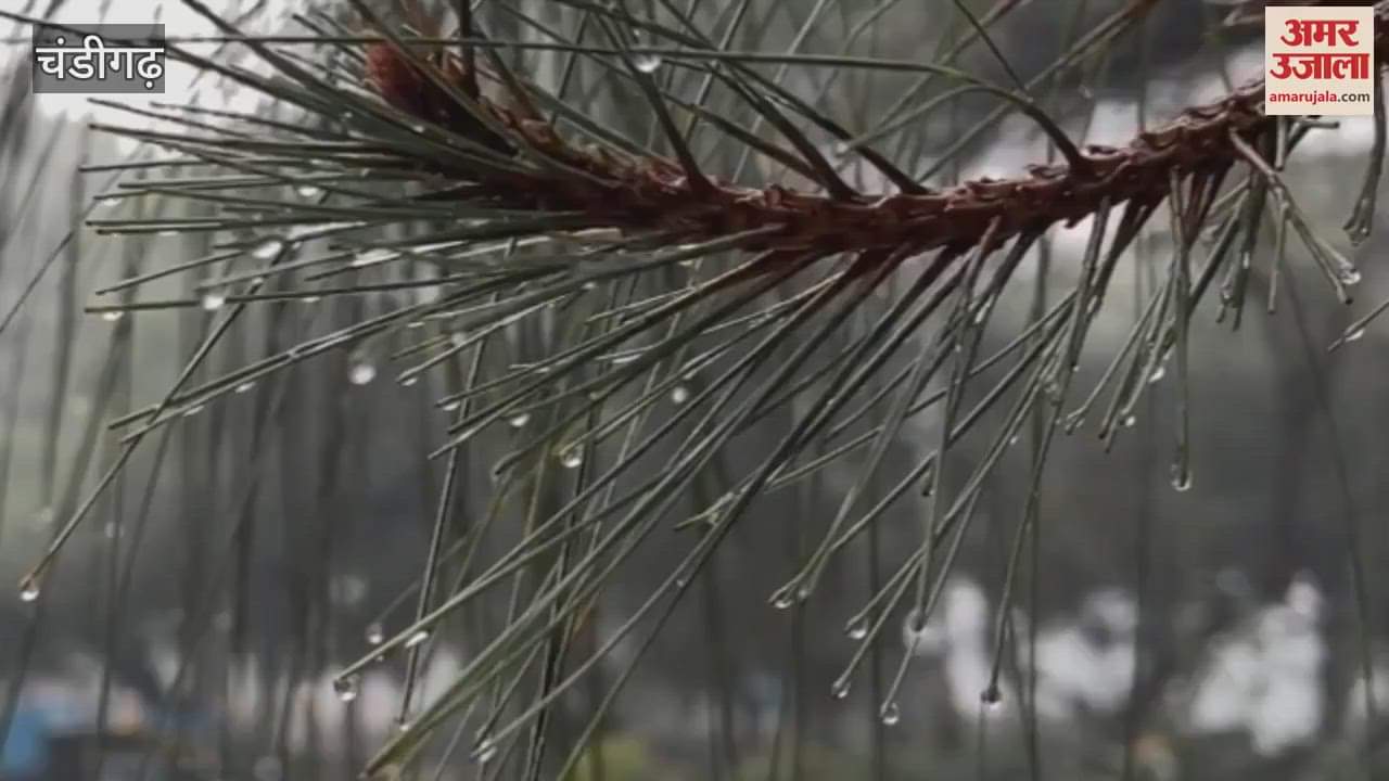 VIDEO : चंडीगढ़ में चार घंटे की बारिश से ठिठुरे लोग, देखिए ये दिलकश नजारा