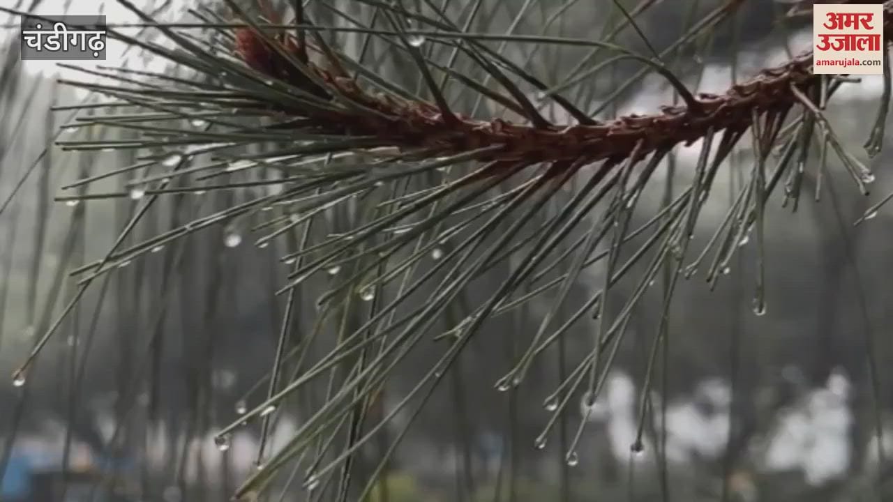 VIDEO : चंडीगढ़ में चार घंटे की बारिश से ठिठुरे लोग, देखिए ये दिलकश नजारा