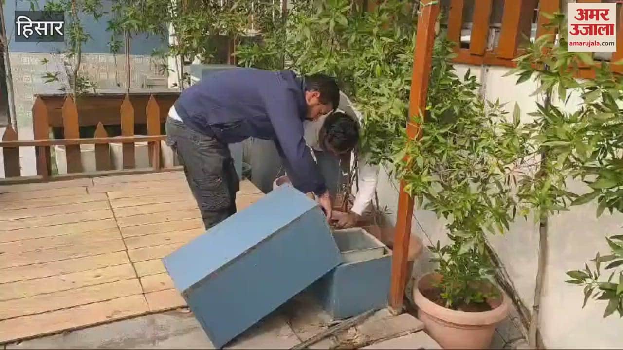 VIDEO : Construction done against rules in RD City Center in Hisar, action taken by Municipal Corporation