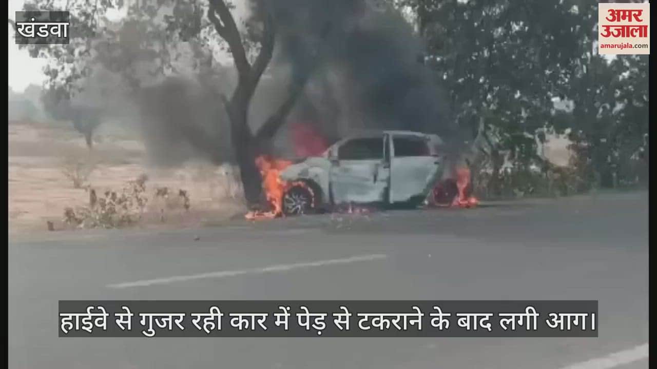Khandwa: Car caught fire after hitting a tree while trying to save a dog, five people injured