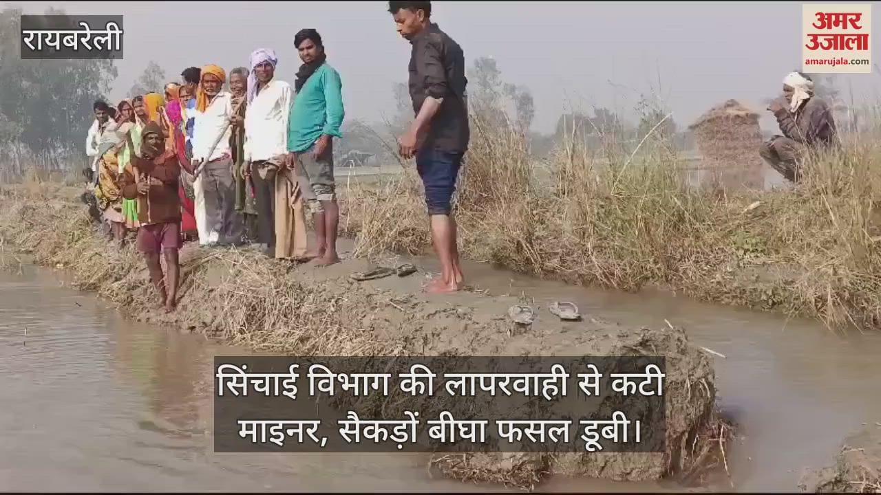 VIDEO : रायबरेली में सिंचाई विभाग की लापरवाही से कटी माइनर, सैकड़ों बीघा फसल डूबी