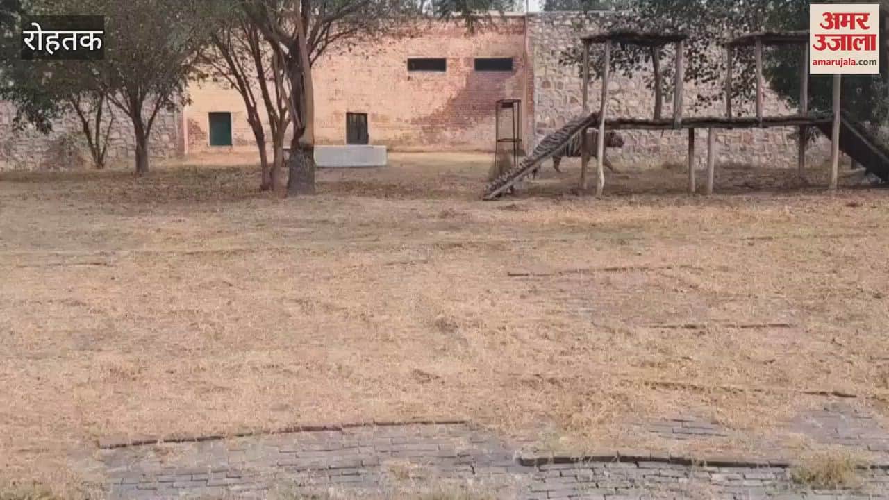 VIDEO : Crowd of tourists gathered in Rohtak's mini zoo