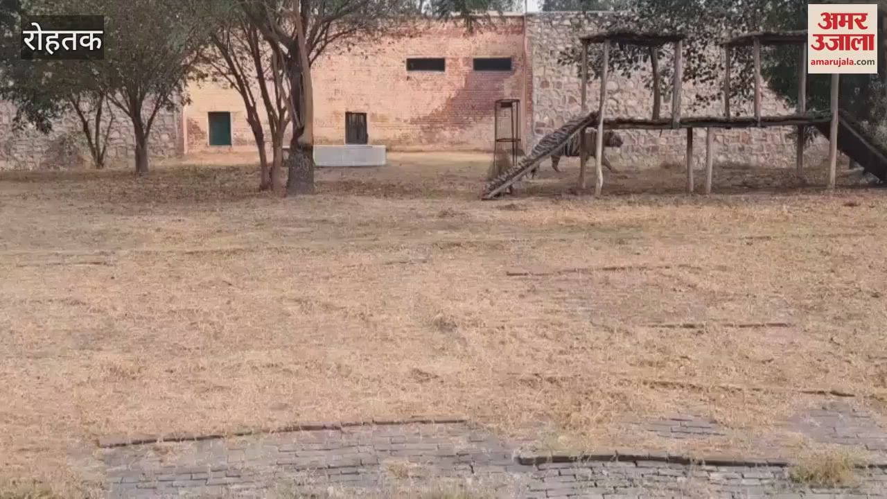 VIDEO : Crowd of tourists gathered in Rohtak's mini zoo